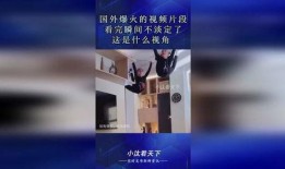 外国的爆料视频在哪看啊,观看途径全解析